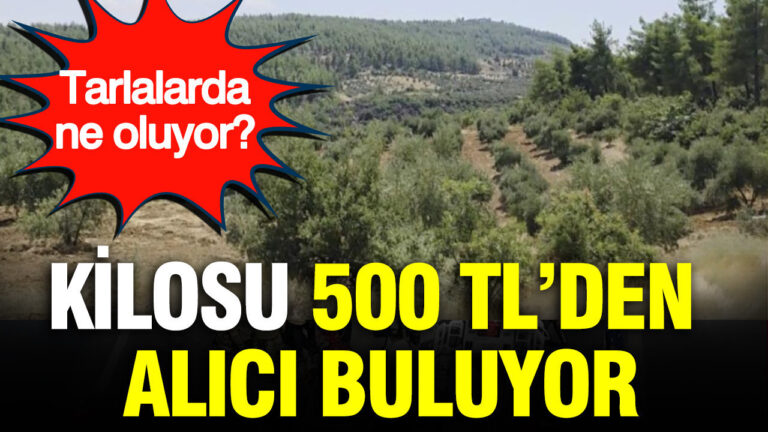 haber-gorseli-1787058156717